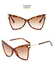 Carregar imagem no visualizador da Galeria, Kaizens Glasses D&amp;T Designer Sunglasses