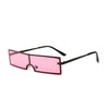 Kaizens Glasses Wnex Sunglasses